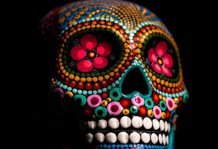 art-black-background-bone-1918290